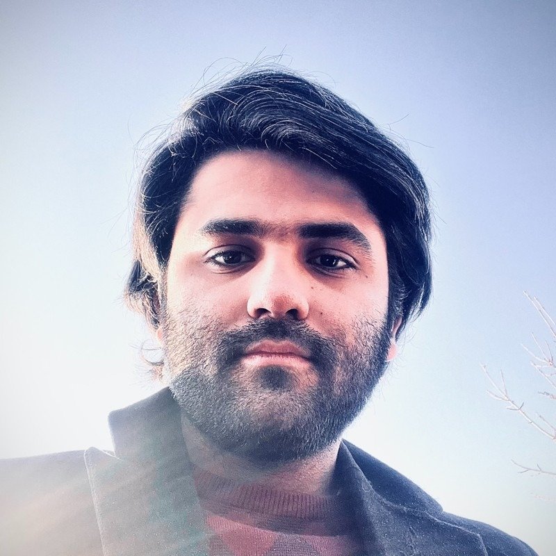 Portrait of Hamidreza Mojtabavi